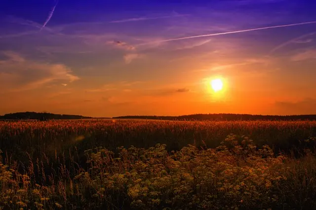 Les meilleures façons d'intégrer des rituels personnels dans un dernier adieu