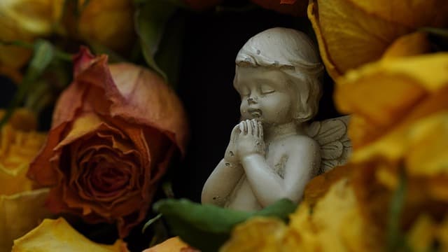Les erreurs à éviter lors de l'organisation d'un dernier adieu mémorable