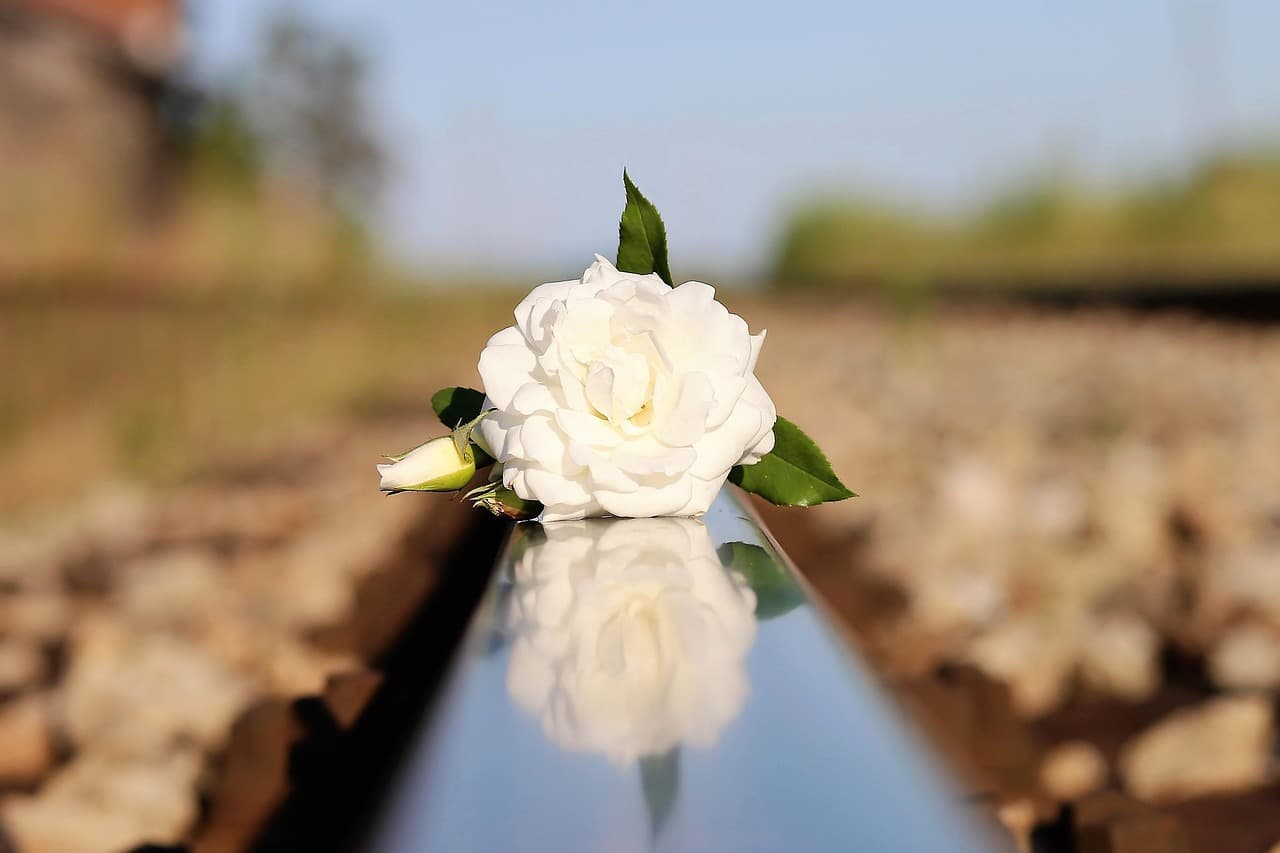Le rôle des rituels dans un dernier adieu touchant